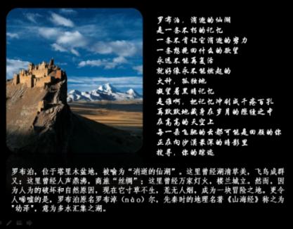探索知识星球平台拉丁舞有几种舞种的魅力